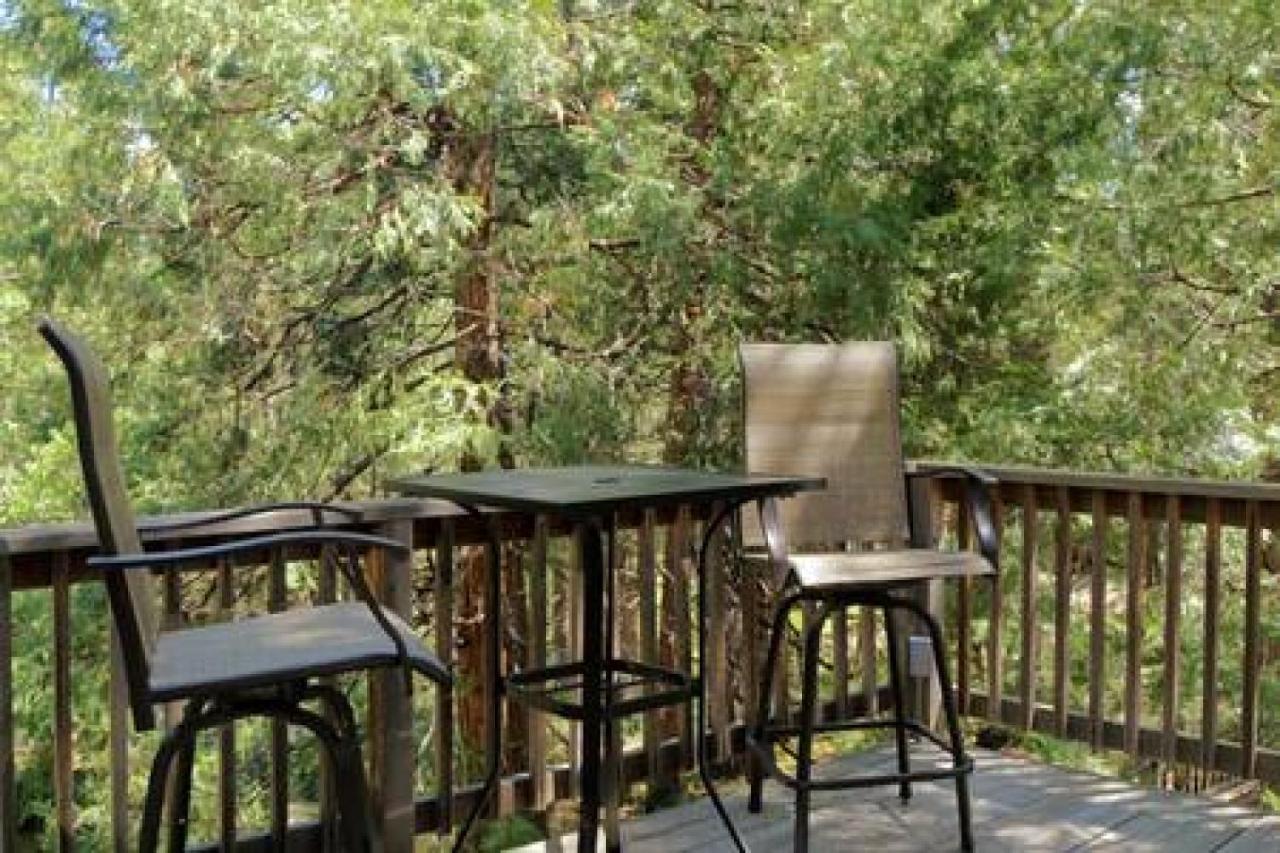Eagles Nest - Natural Log Cabin With Guest House Idyllwild Esterno foto