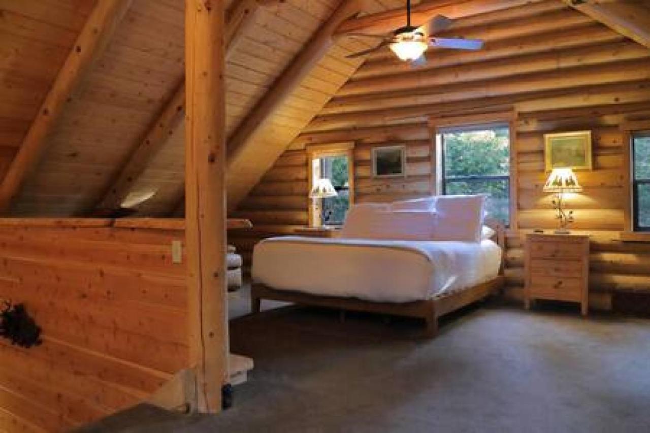 Eagles Nest - Natural Log Cabin With Guest House Idyllwild Esterno foto