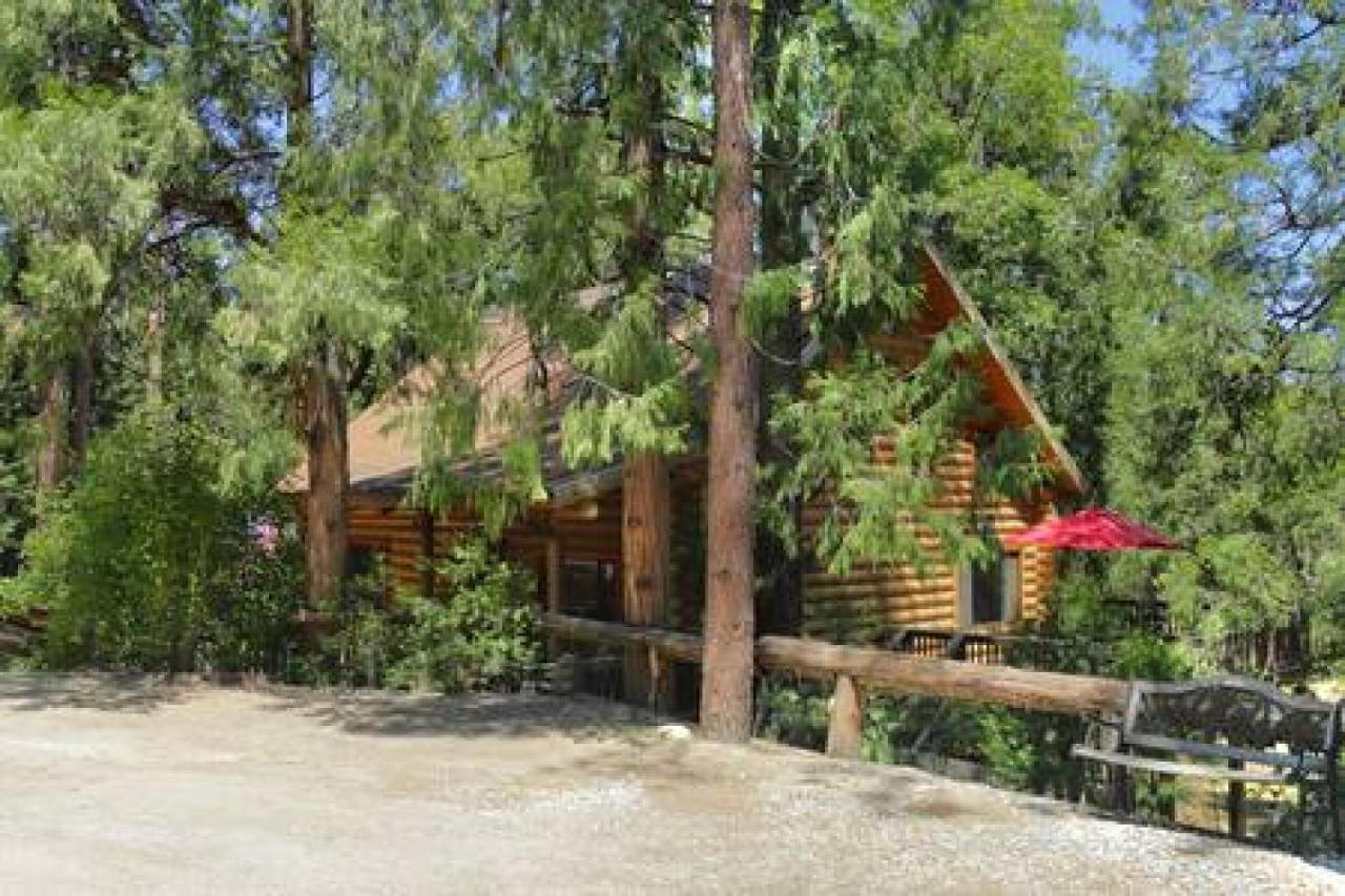 Eagles Nest - Natural Log Cabin With Guest House Idyllwild Esterno foto