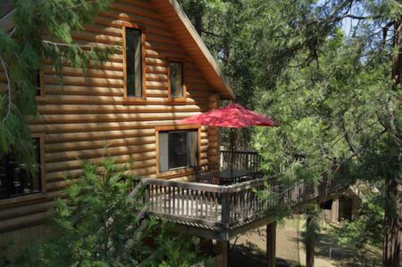 Eagles Nest - Natural Log Cabin With Guest House Idyllwild Esterno foto
